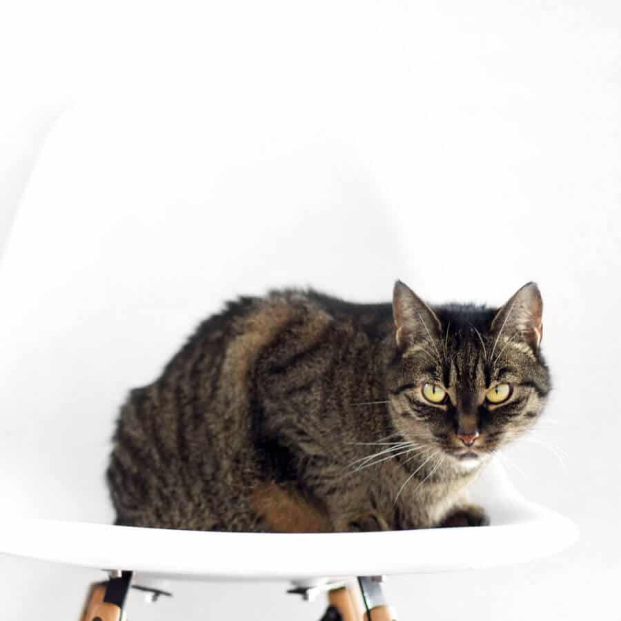 projects case study grid 04 514cc6f3 - Home projects case study grid 04 514cc6f3 - Home